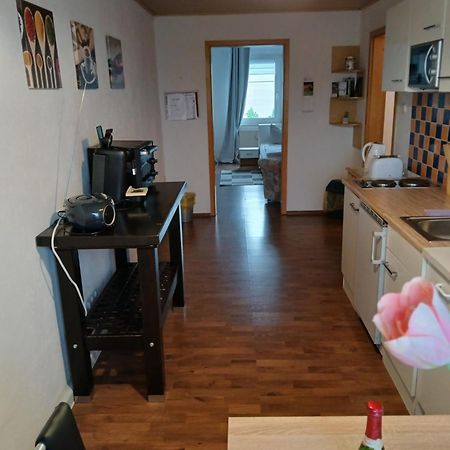 Kleine Wohnung Fuer Monteure Und Dienstreisen Zwickau Luaran gambar
