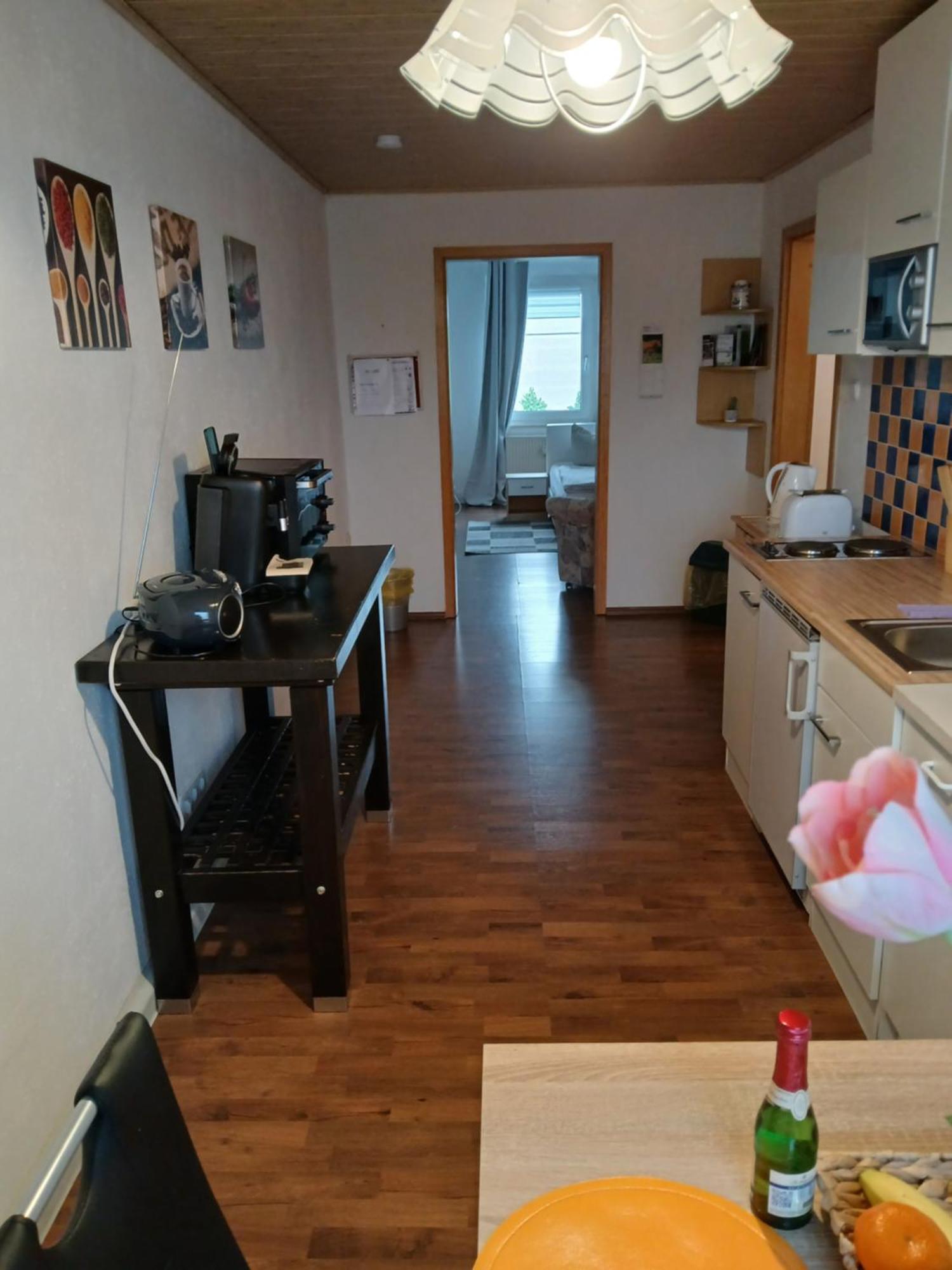 Kleine Wohnung Fuer Monteure Und Dienstreisen Zwickau Luaran gambar